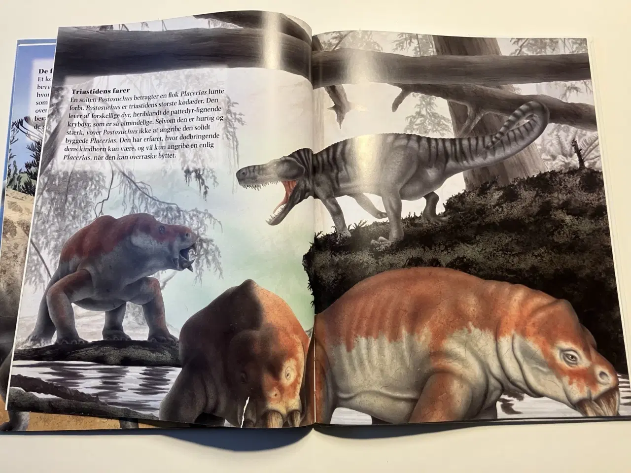 Billede 6 - Triastidens dinosaurer. Af Rupert Matthews