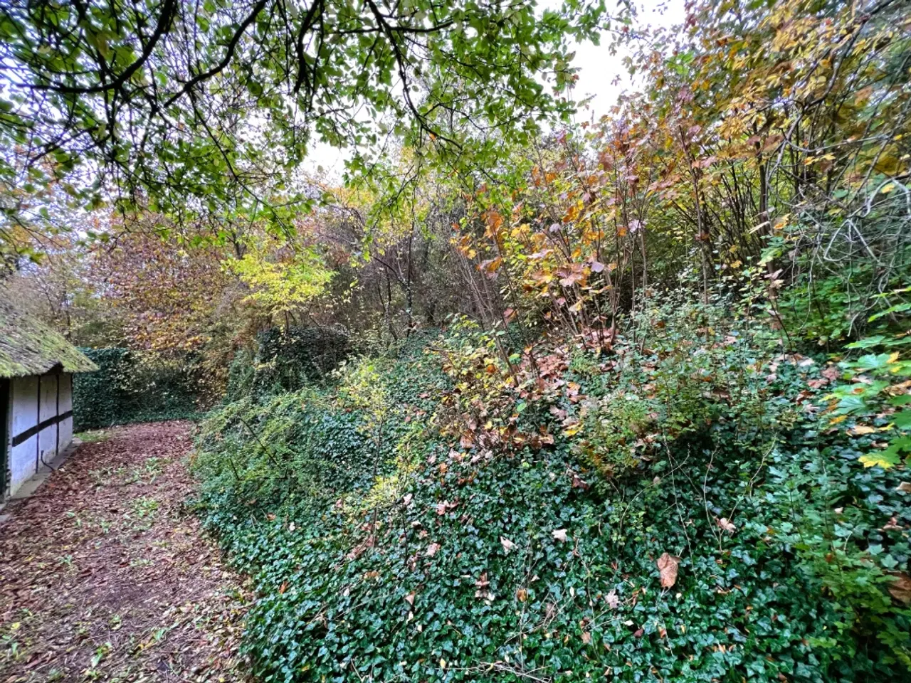 Billede 5 - Lille hus på landet