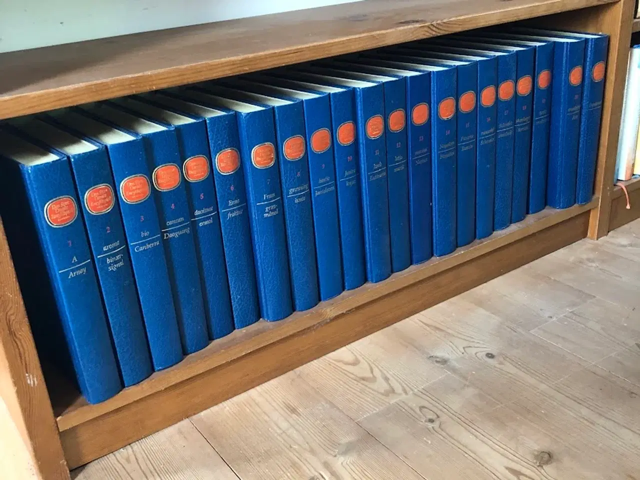 Billede 1 - Den store danske Encyklopædi