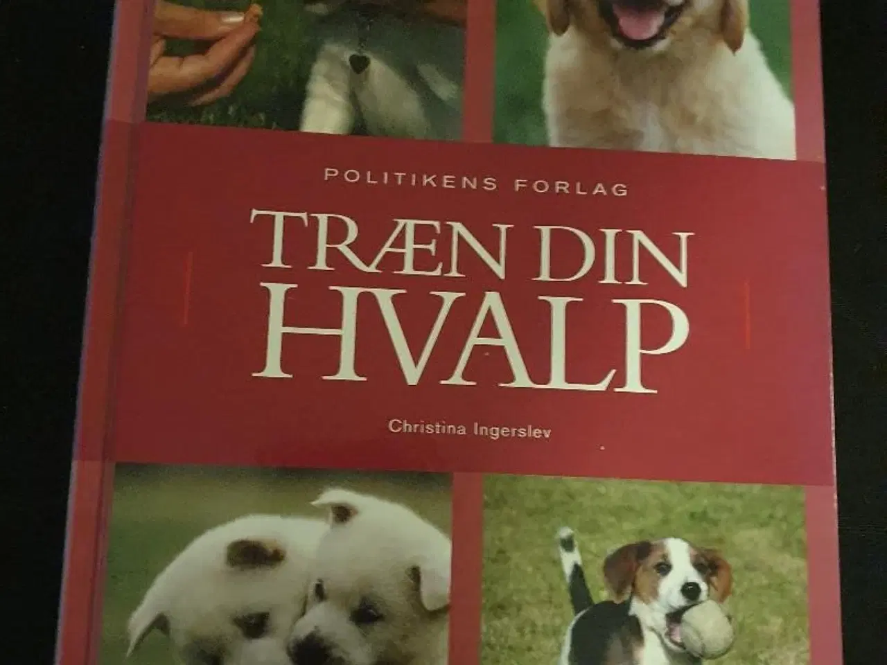 Billede 1 - Træn din hvalp