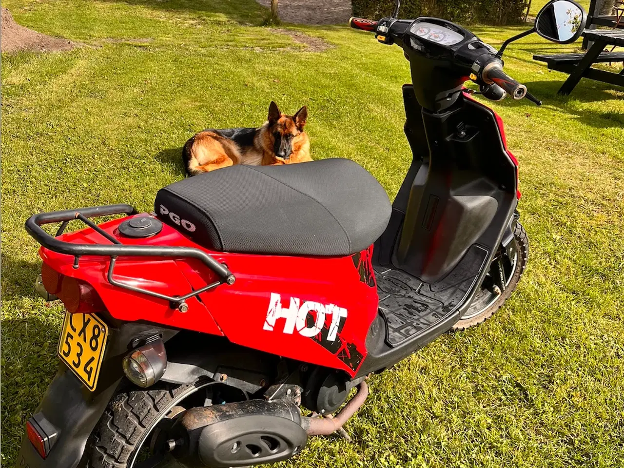 Billede 3 - pgo hot 50 2015