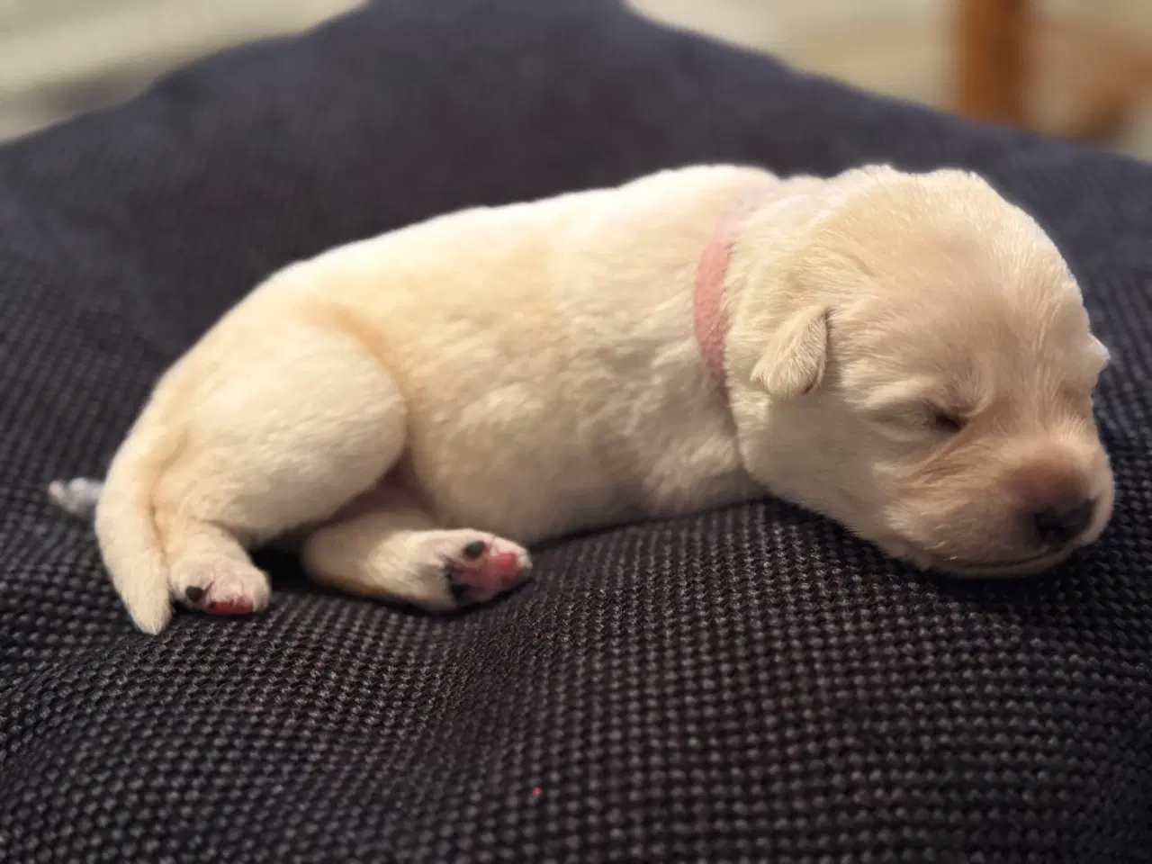 Billede 10 - Mangler du en blød familie julegave