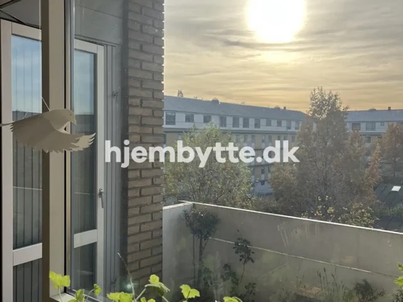 Billede 7 - Hjembytte - Stationsalleen