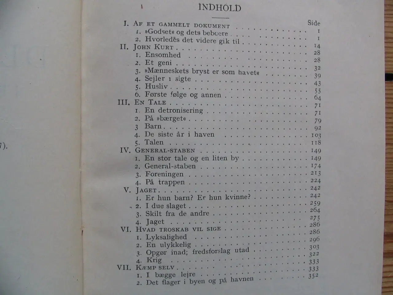 Billede 4 - Bjørnstjerne Bjørnson. Det flager i Byen, på Haven