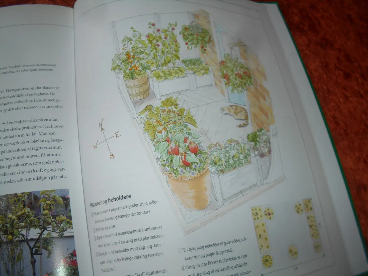 Billede 6 - Den praktiske køkkenhave, Barbara Segall,