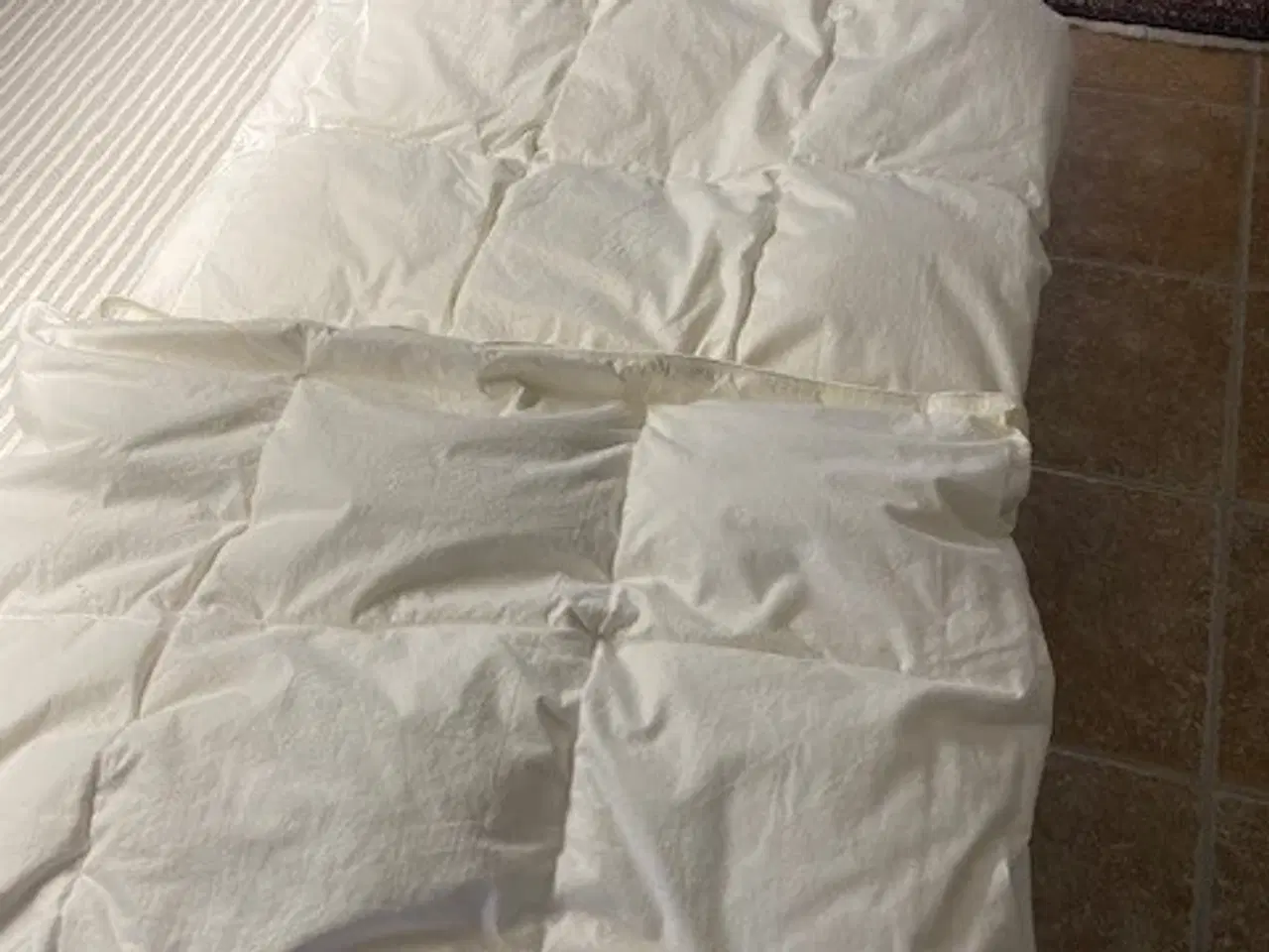 Billede 1 - Moskusdundyne - Flora Danica Anemone Sval