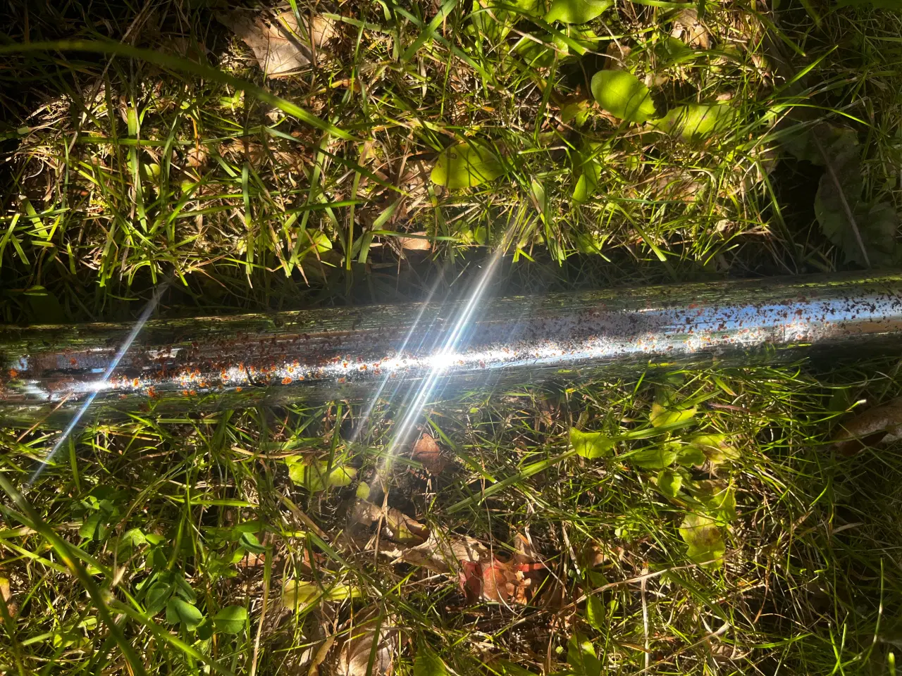 Billede 8 - 10 Frisvingerstole 