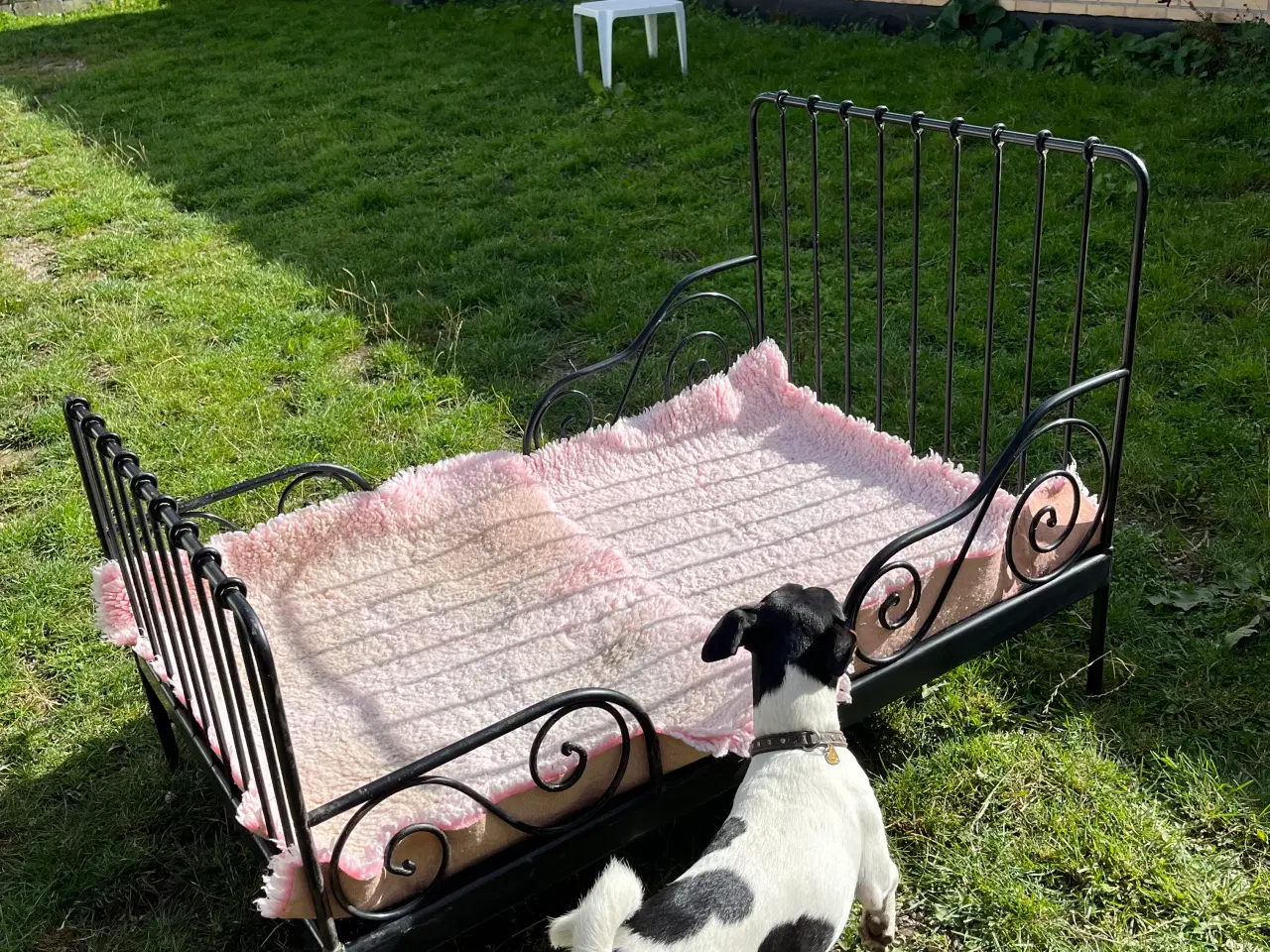 Billede 3 - Hunde kurv prinsesse seng til schæferhund Doberman