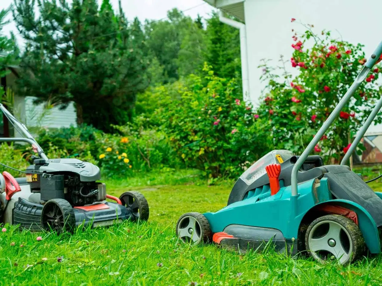 Billede 1 - Plæneklipper, batteri akku model,