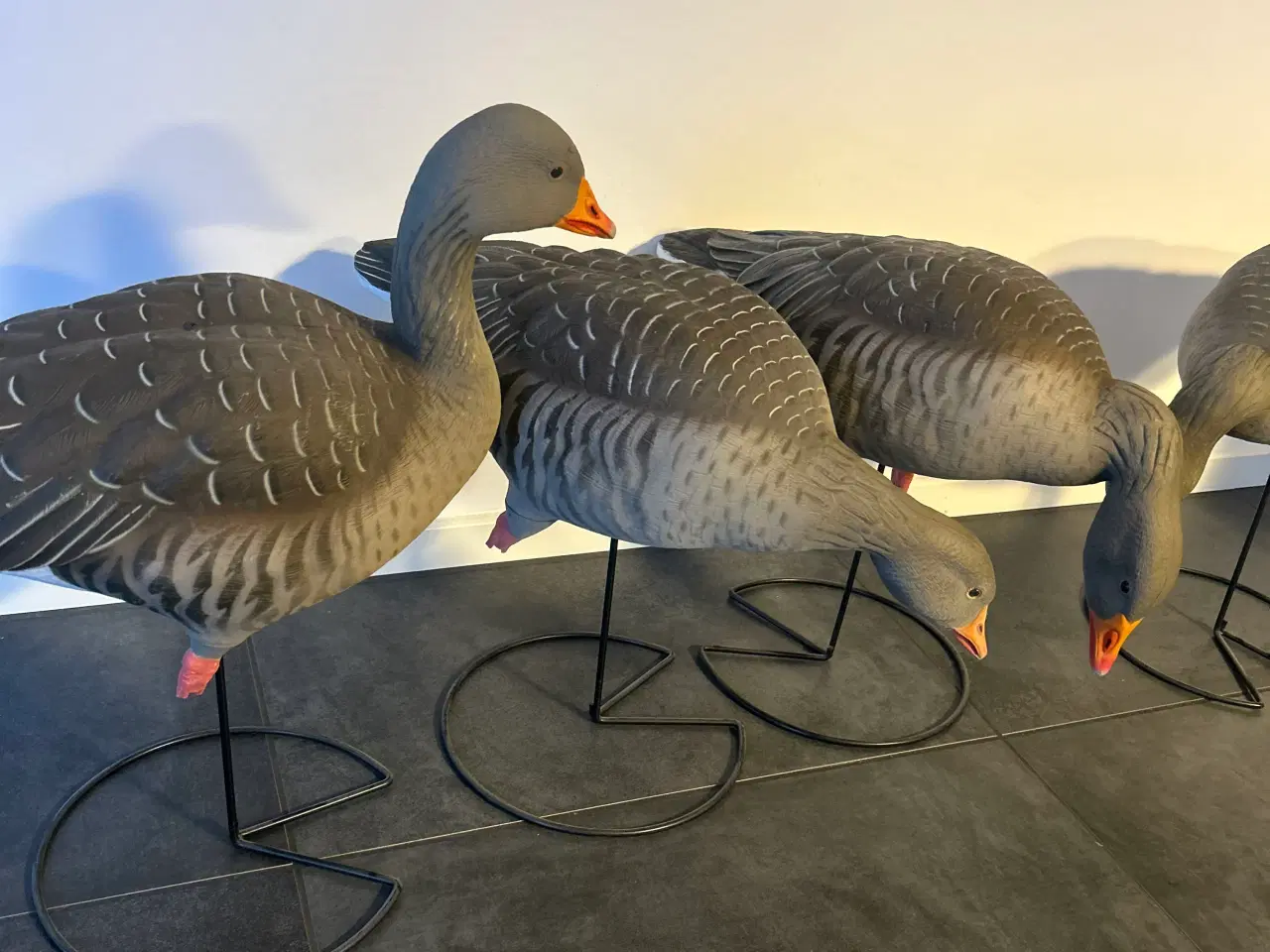 Billede 1 - GHG Lokkegæs 