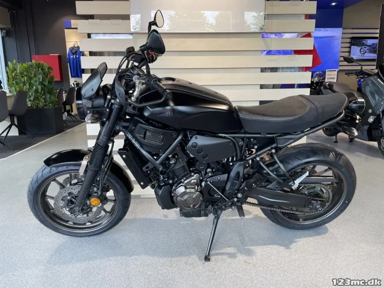 Billede 6 - Yamaha XSR 700