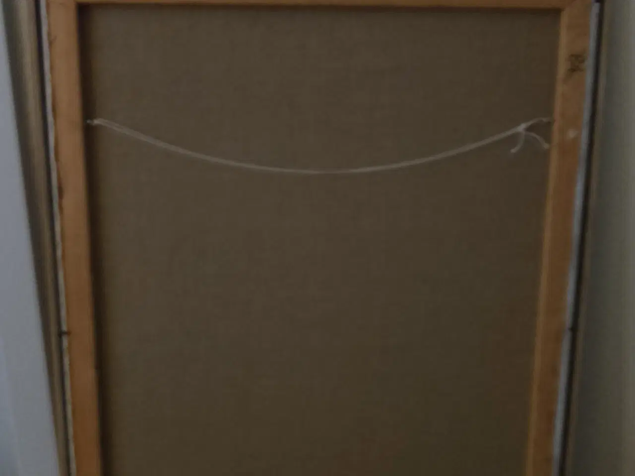 Billede 2 - Jeff Ibbo nøgen studier 