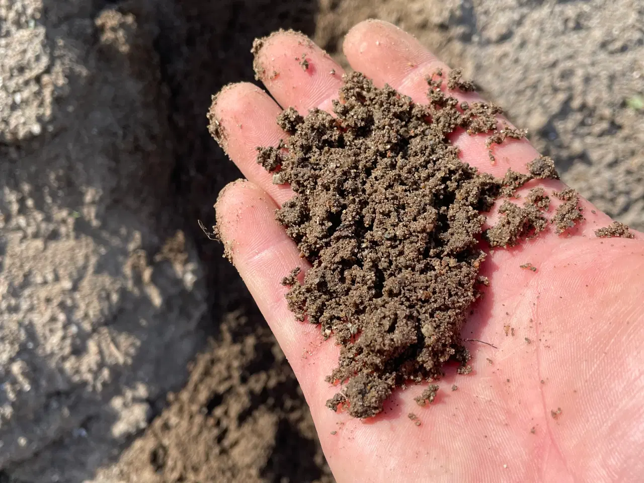 Billede 3 - Harpet muldjord!