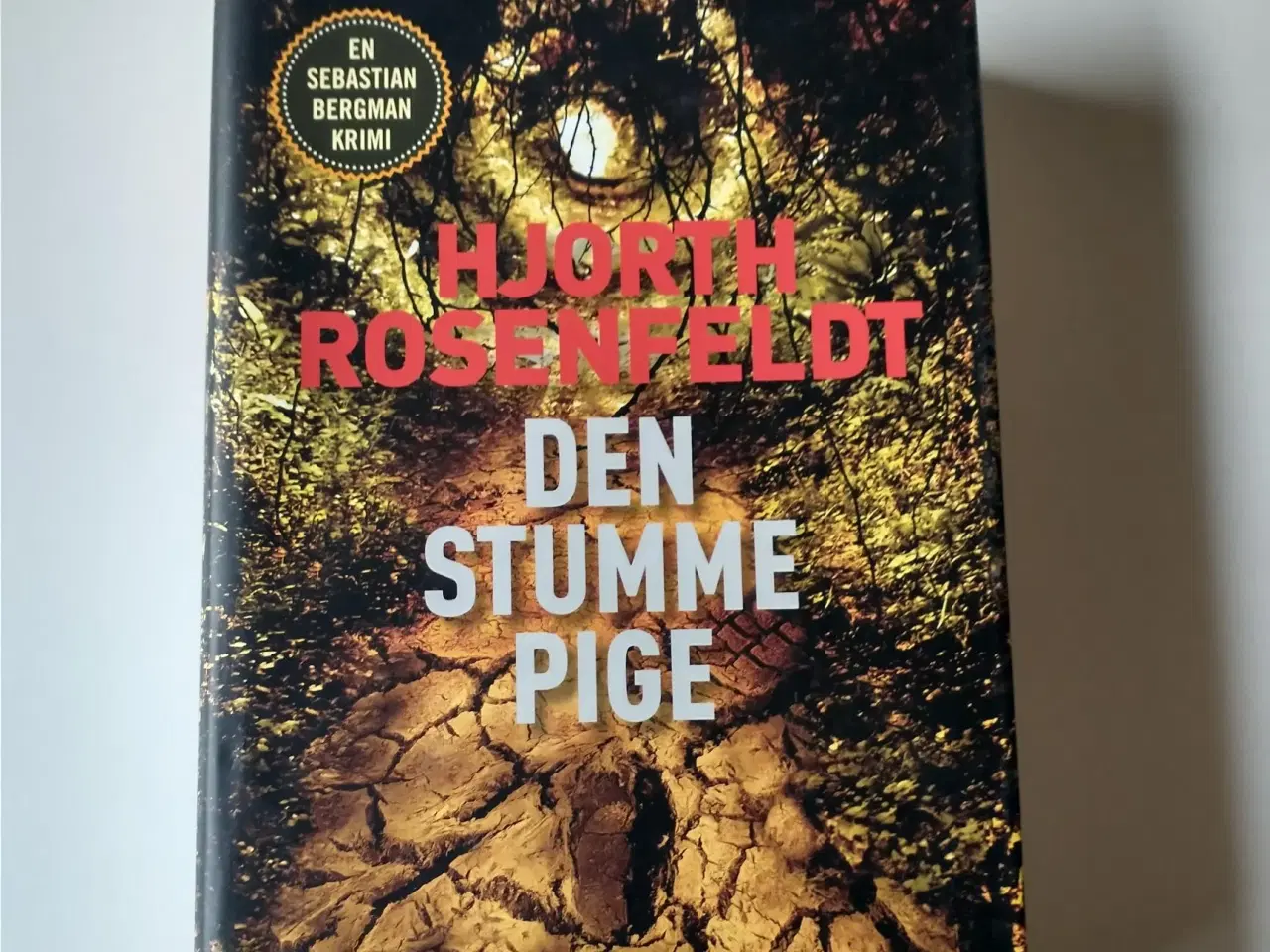 Billede 1 - Den stumme pige. Af Hjorth Rosenfeldt