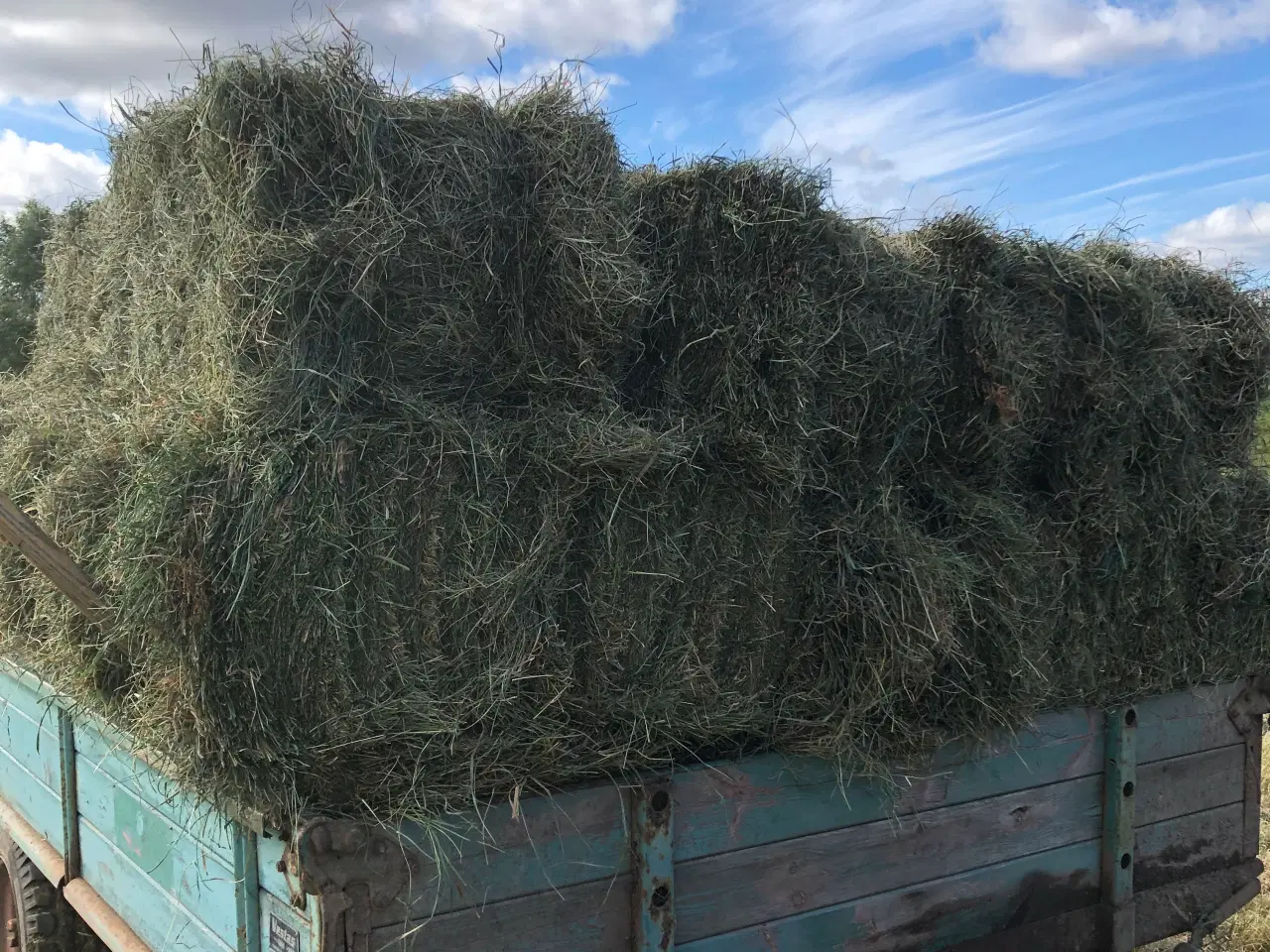 Billede 1 - Eng hø Morten Korch 