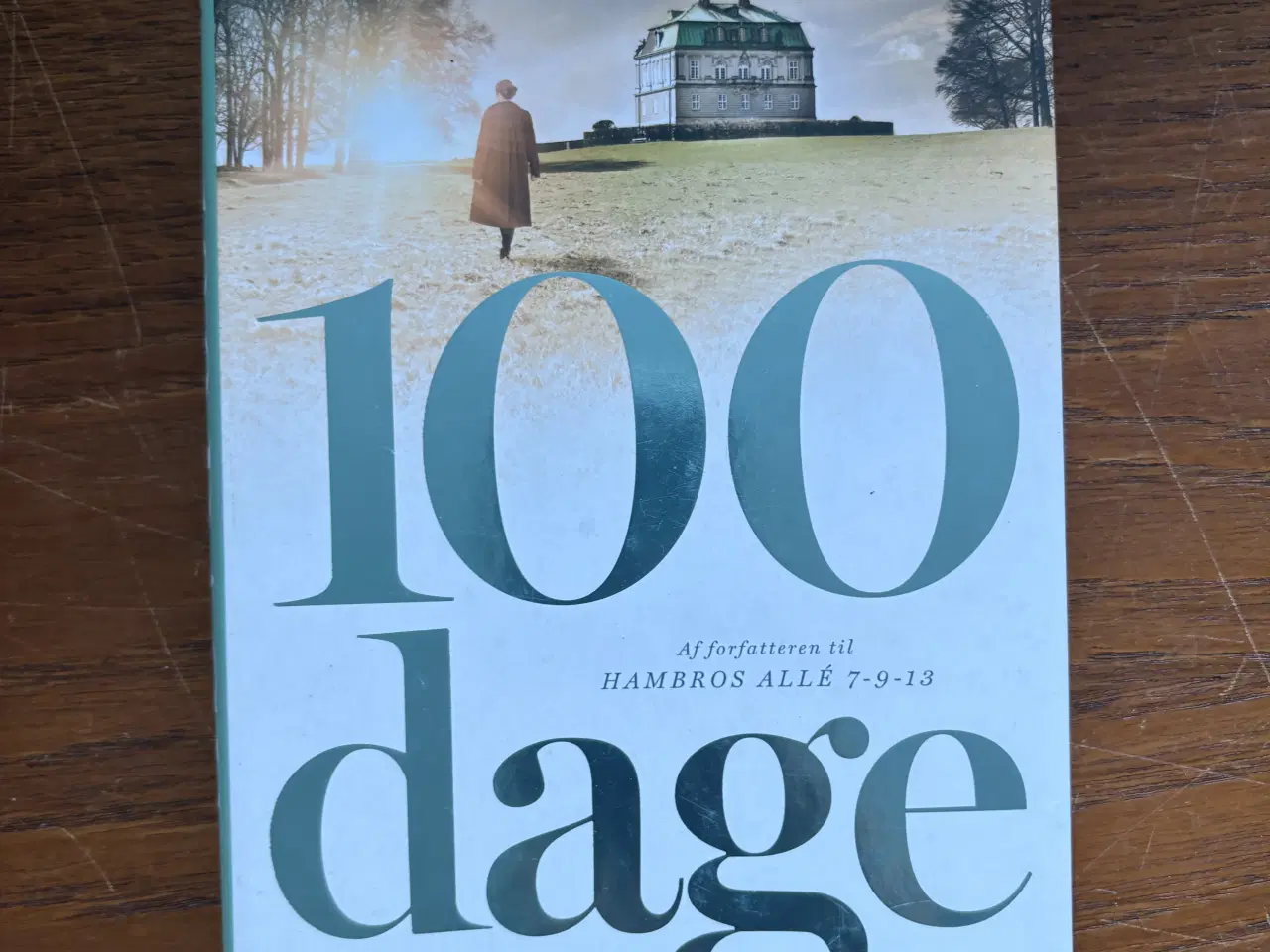 Billede 1 - 100 dage