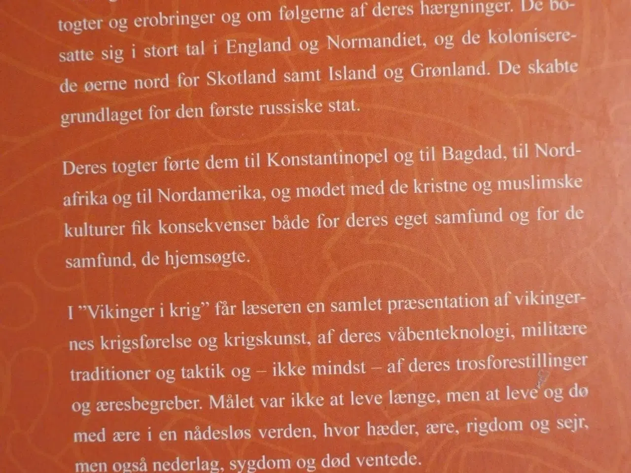 Billede 3 - vikinger i krig, af kim hjardar og vegard vike