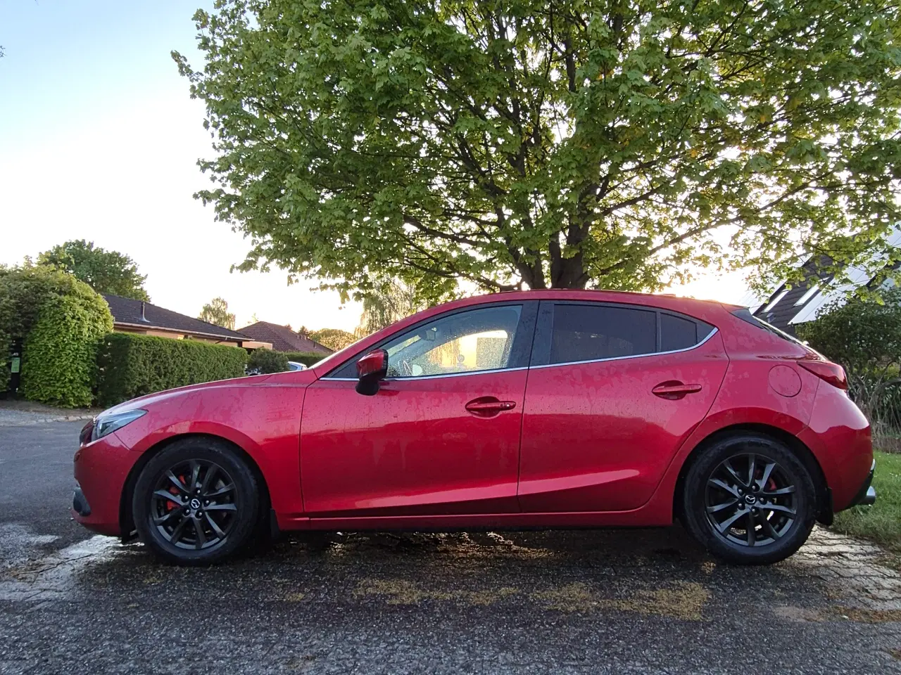 Billede 2 - Mazda 3 Optimum