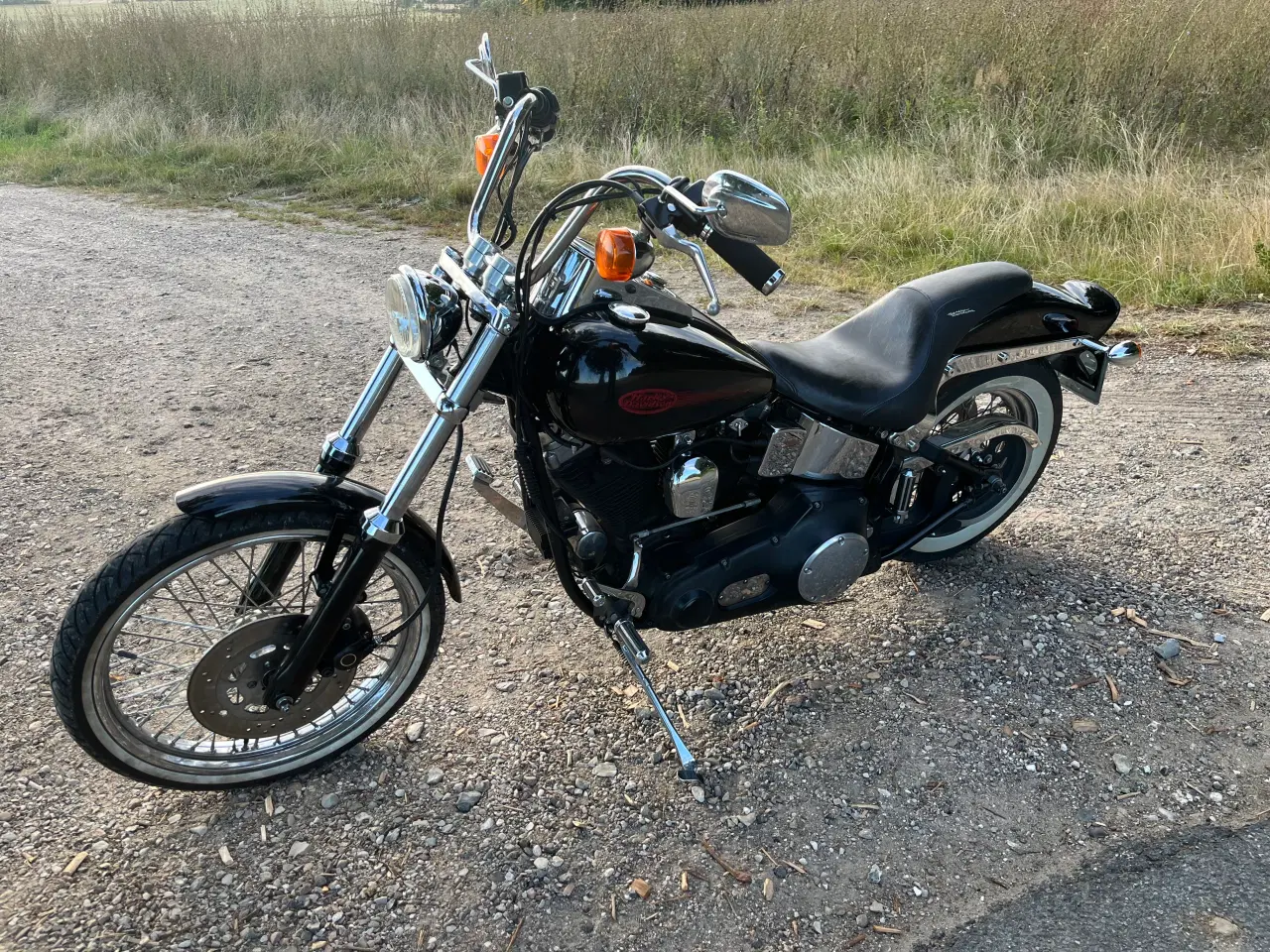 Billede 4 - Harley Davidson FXST SOFTTAIL