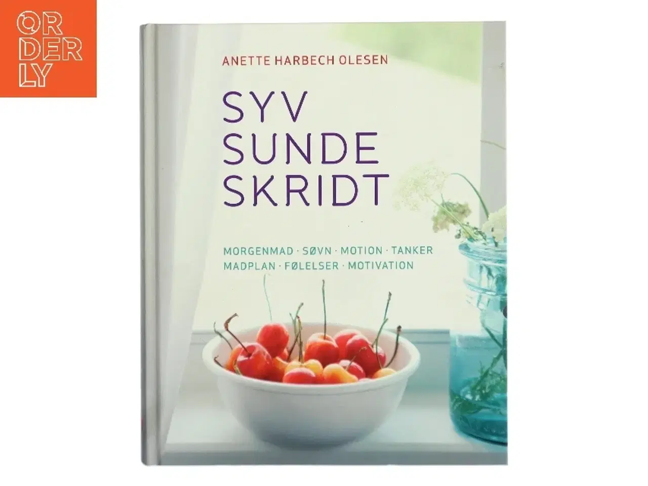 Billede 1 - Sund og i balance med syv sunde skridt af Anette Harbech Olesen (Bog)