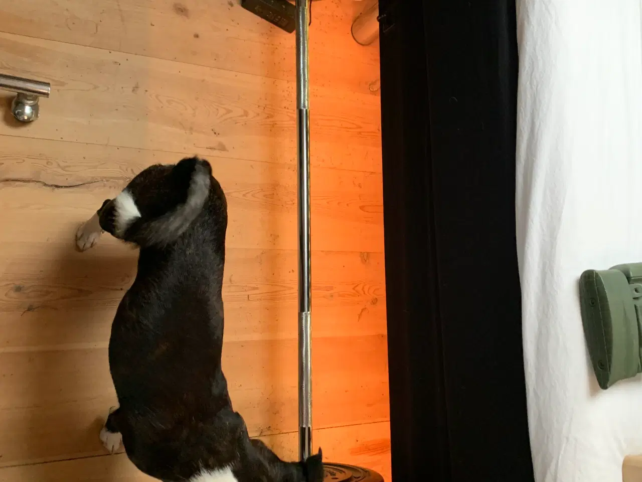 Billede 2 - Vægtstang med skiver