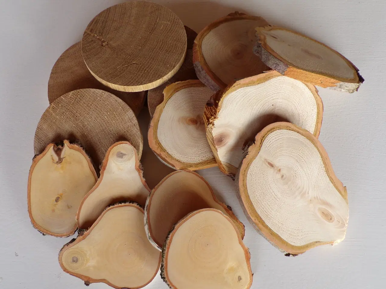 Billede 3 - 15 NYE Eg / Thuja / Birk Træskiver