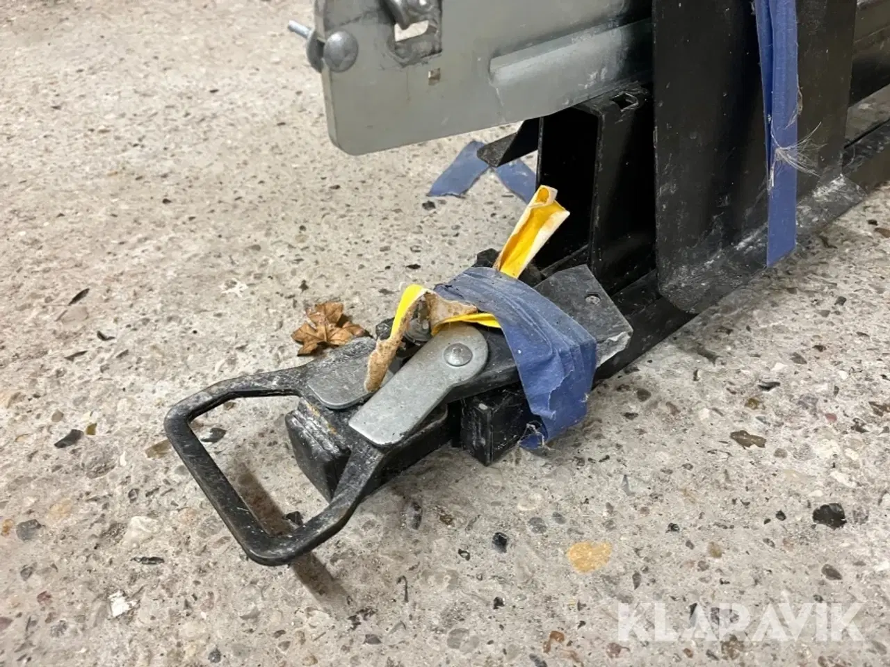 Billede 2 - Bukker Edma