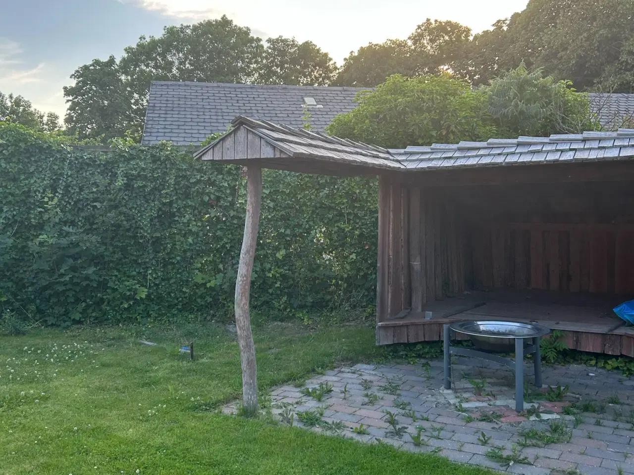 Billede 3 - Shelter