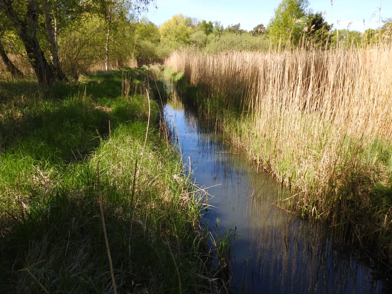 Billede 4 - jagtområde sælges