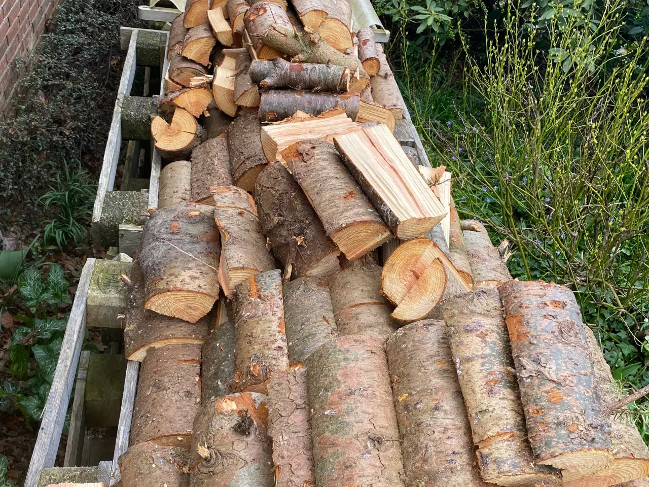 Billede 3 - Brænde  gran