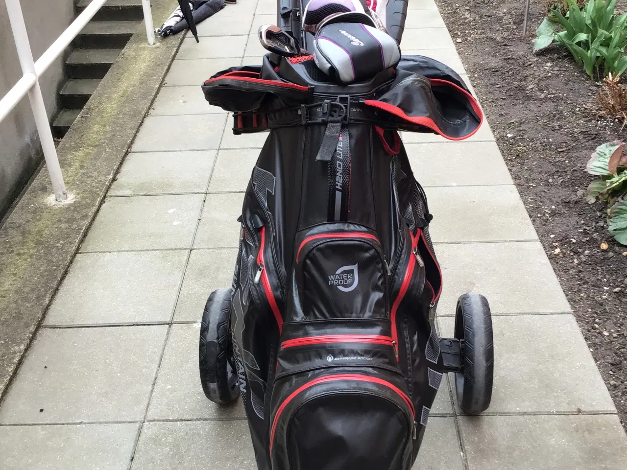 Billede 3 - Damegolfsæt med bag og golfvogn