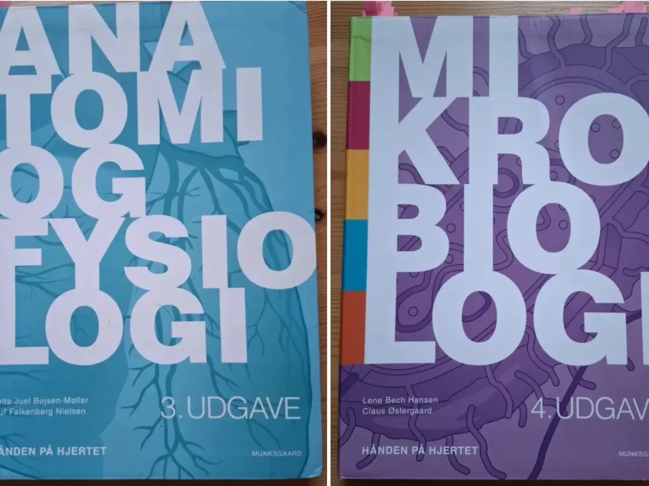 Billede 1 - Anatomi og Fysiologi & Mikrobiologi pakke