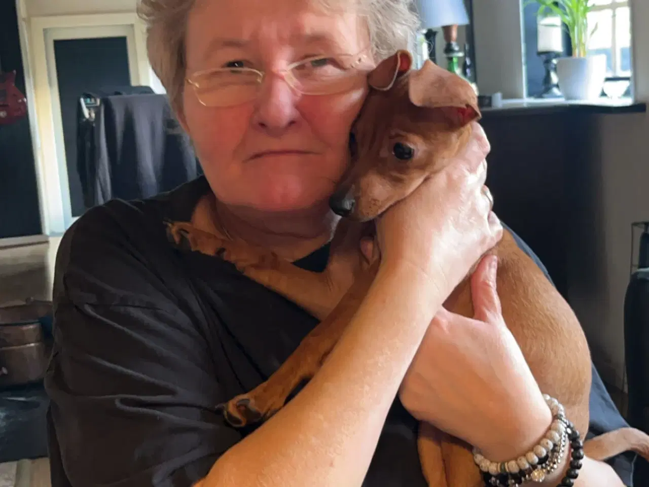 Billede 2 - Bette sød dejlig tæve med krudt i numsen