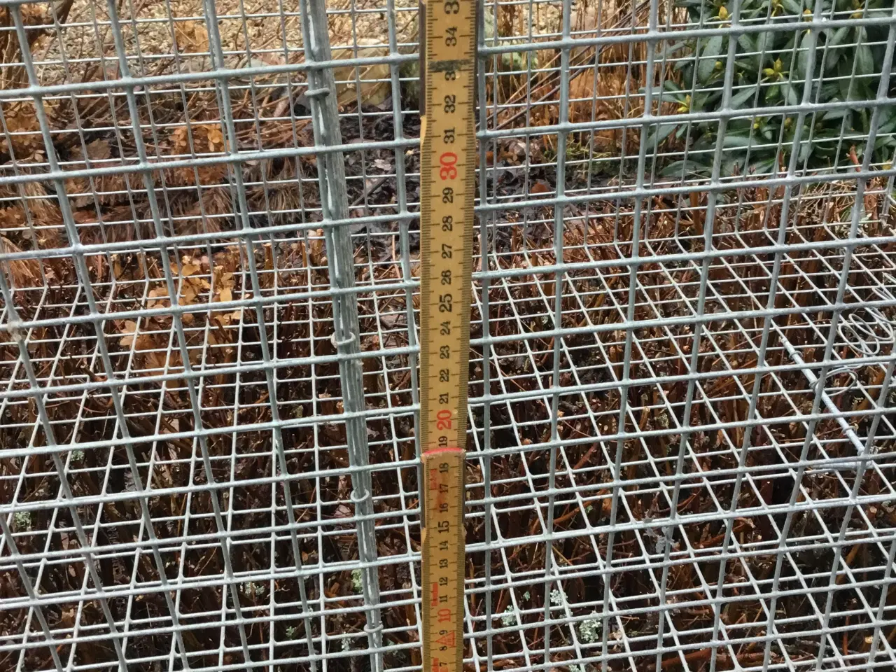 Billede 4 - Kragefælde