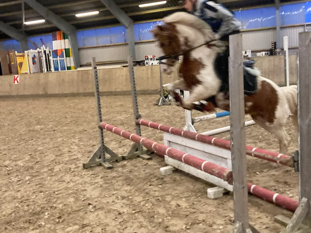 Billede 6 - Sød 2’er pony sælges 