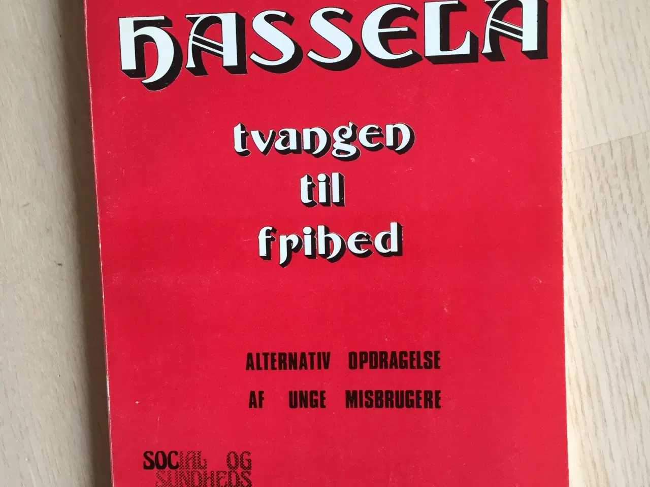 Billede 1 - Hassela - tvangen til frihed
