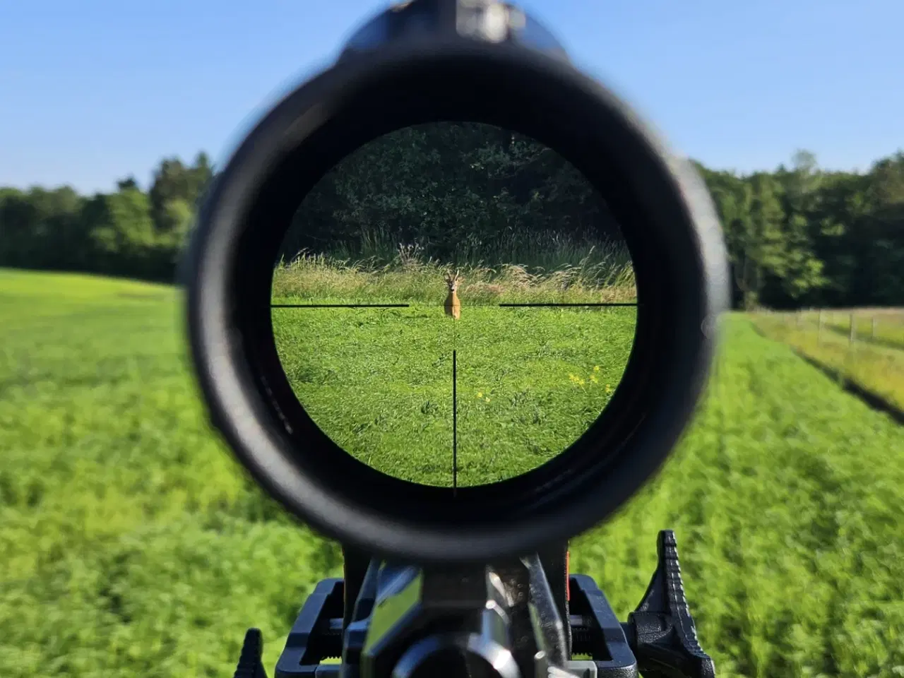 Billede 7 - Schultz og Larsen classic dl 308 Win