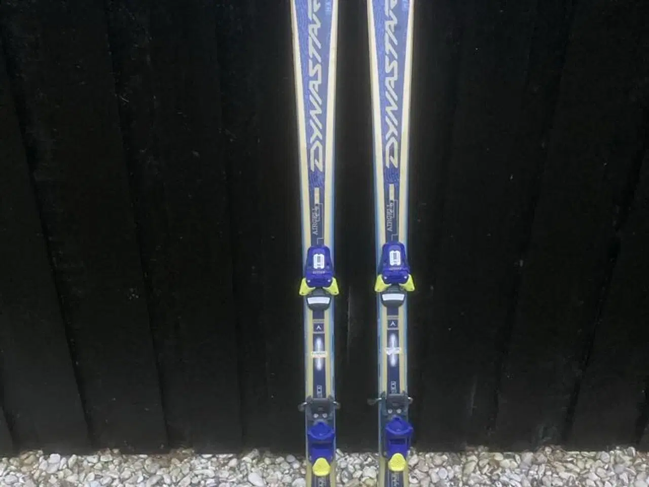 Billede 1 - Fine DYNASTAR MAX ANTHEA ski på 170 cm