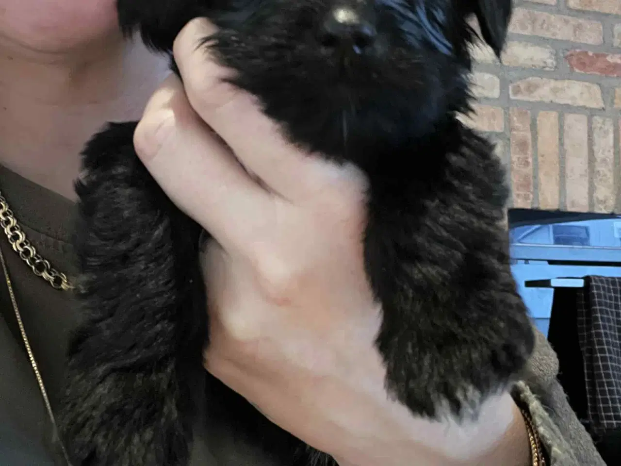 Billede 2 - Klar den 25 december