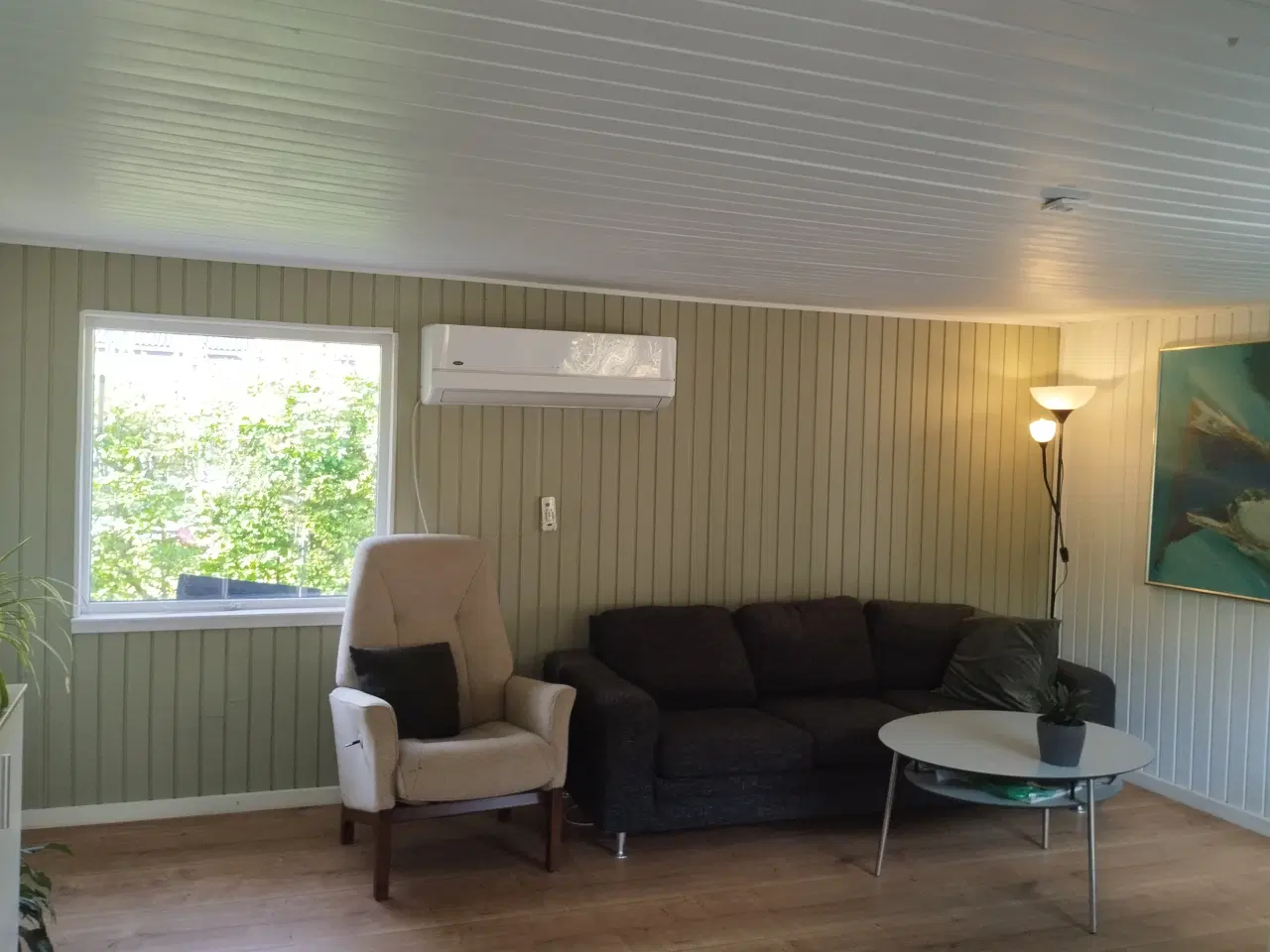 Billede 3 - Kolonihave Odense 