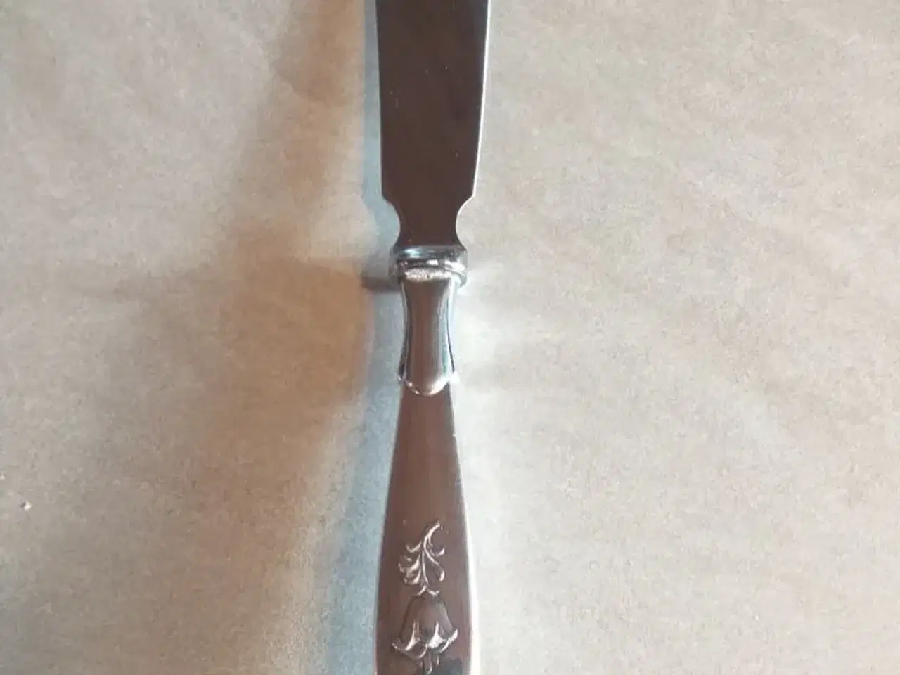 Billede 4 - Klokkeblomst  sølvplet sølv plet