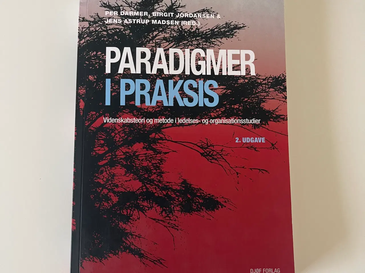 Billede 1 - Paradigmer i Praksis