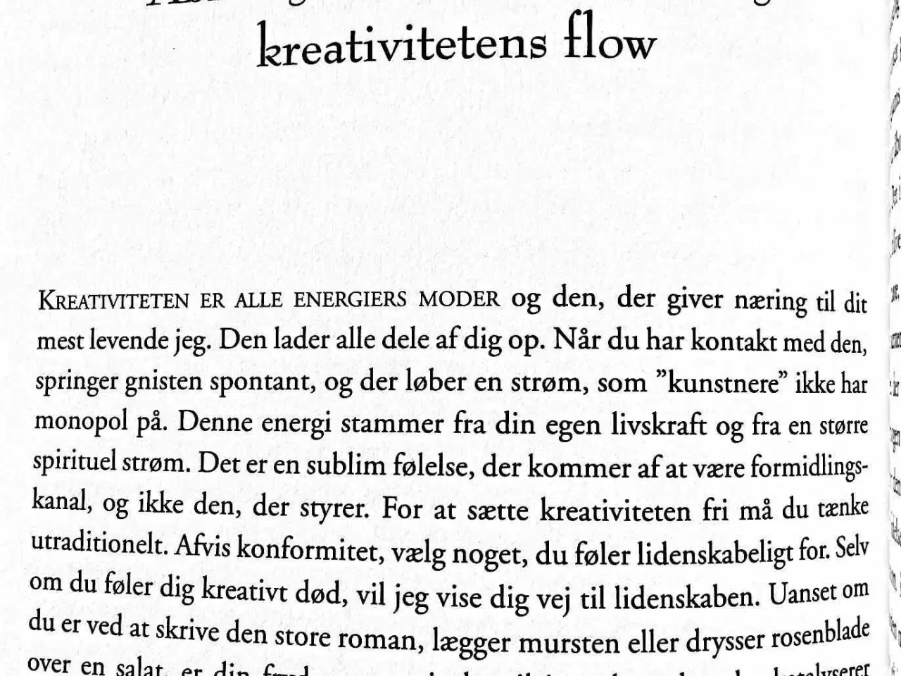 Billede 7 - Positiv Energi - Opnå livsglæde, styrke og kærligh