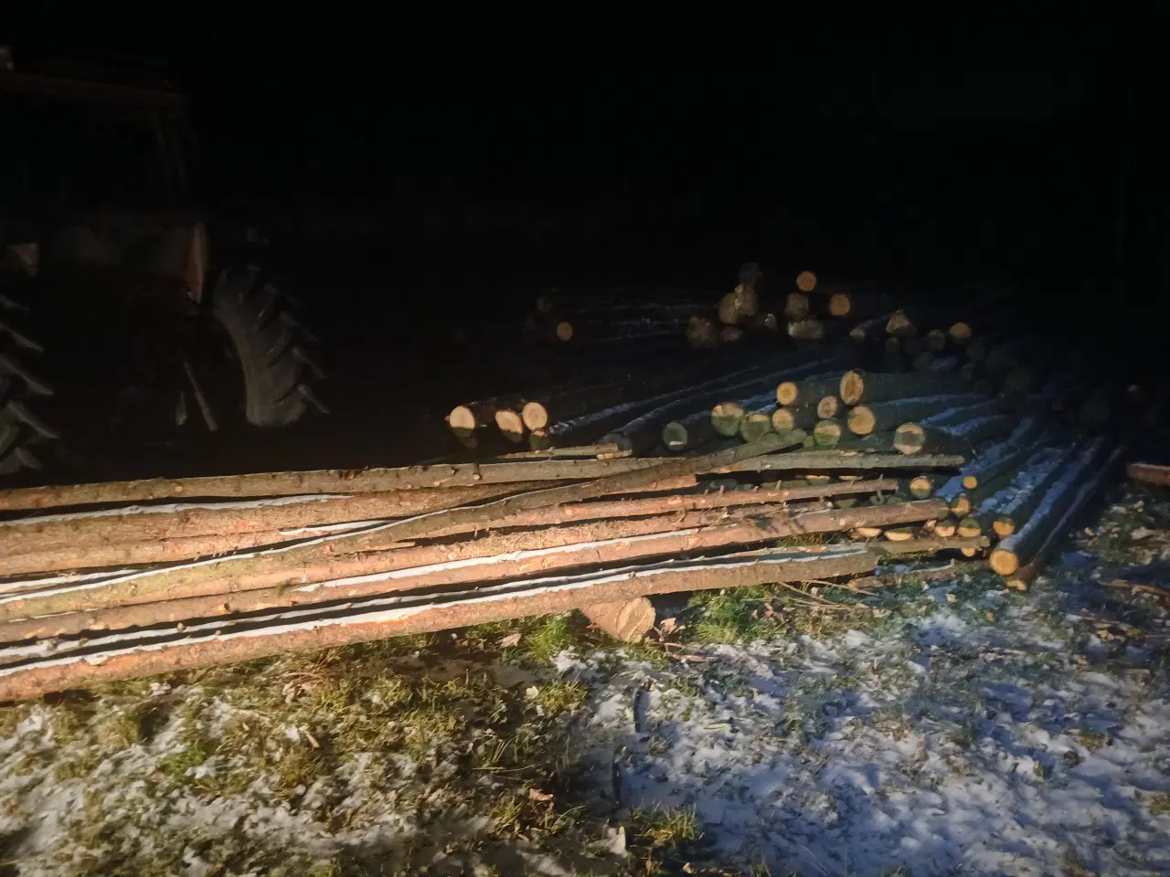 Billede 7 - Brænde og stolper af rødgran og lærk