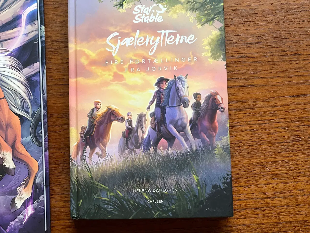 Billede 7 - Heste bøger