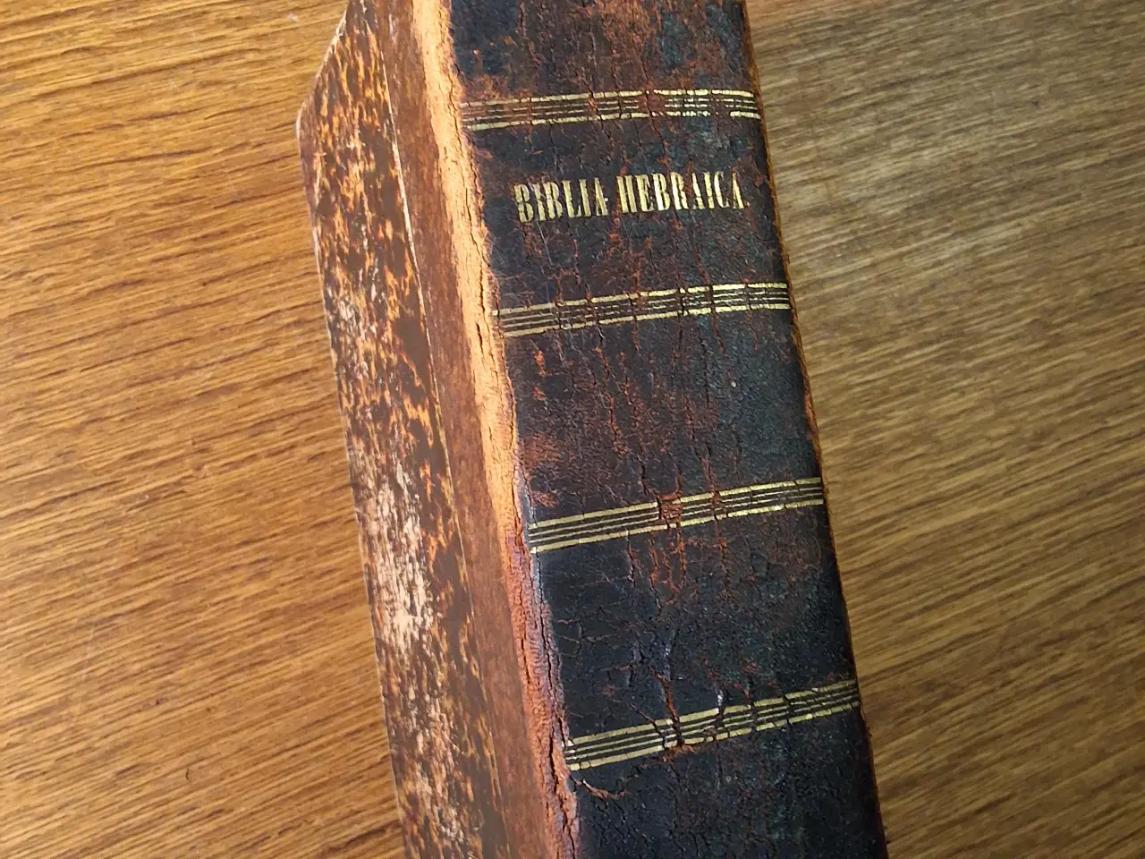 Billede 1 - BIBLIA HEBRAICA, Augustus Hahn