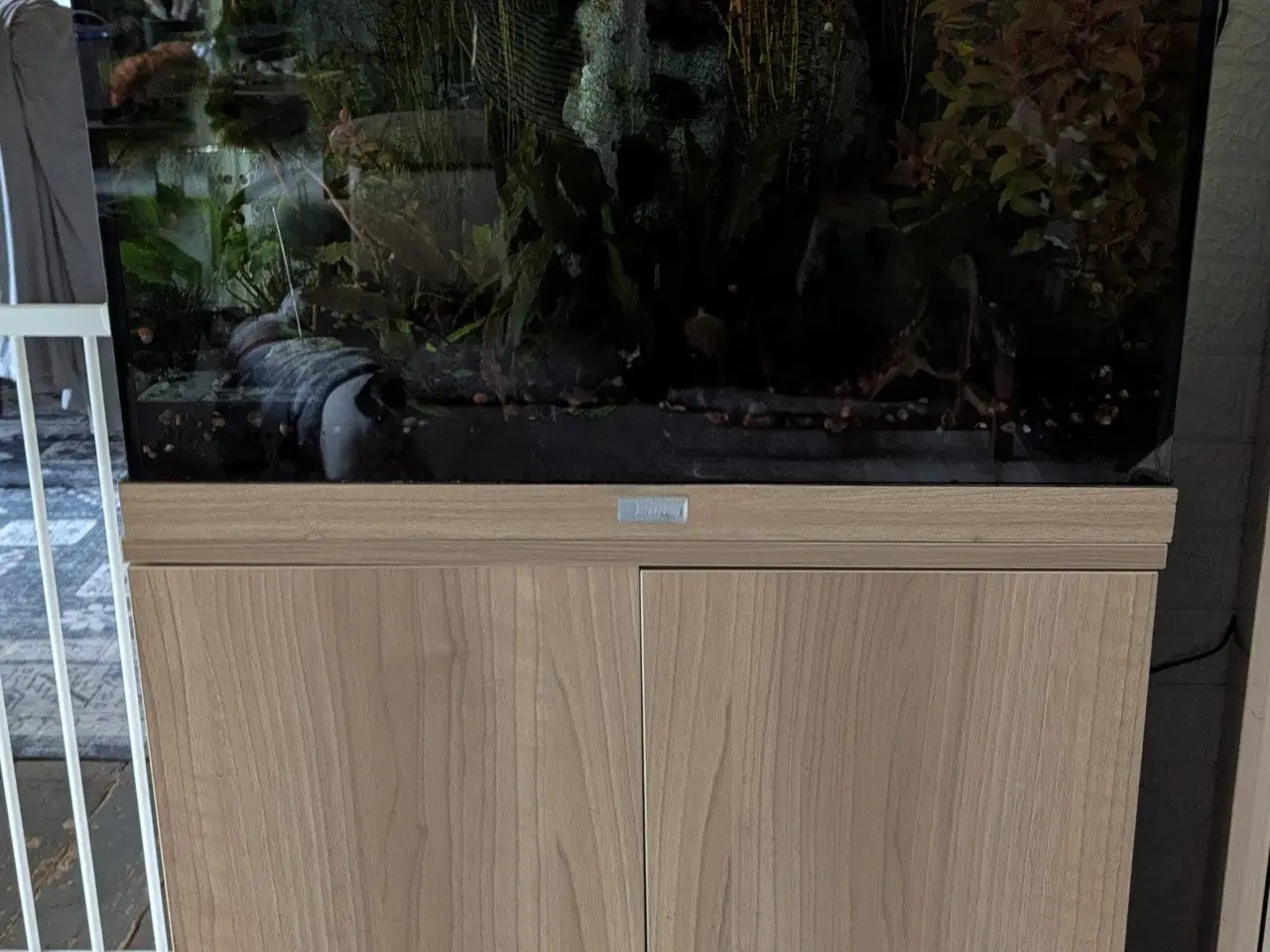 Billede 19 - Juwel akvarie 125L