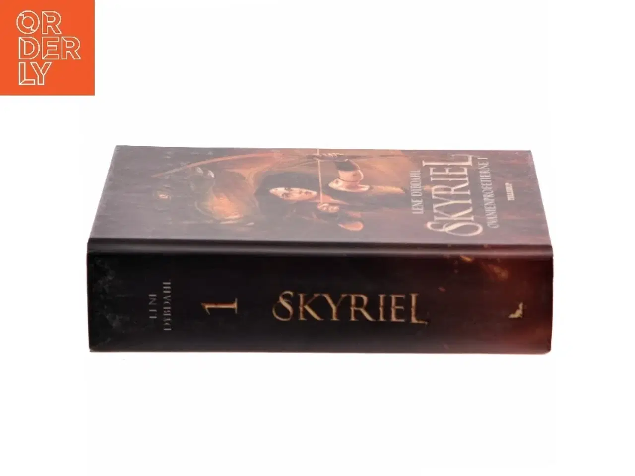 Billede 2 - Skyriel af Lene Dybdahl (Bog)