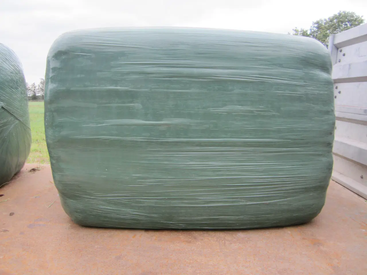 Billede 3 - Wrap til heste