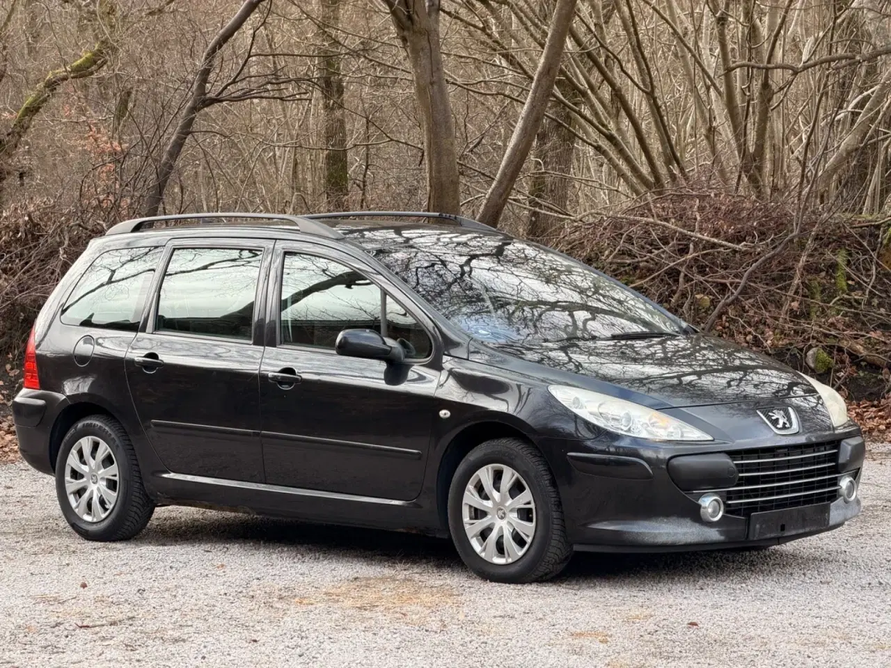 Billede 6 - Peugeot 307 1,6 Complete SW